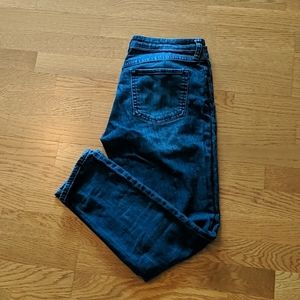 GAP Premium Skinny Jeans